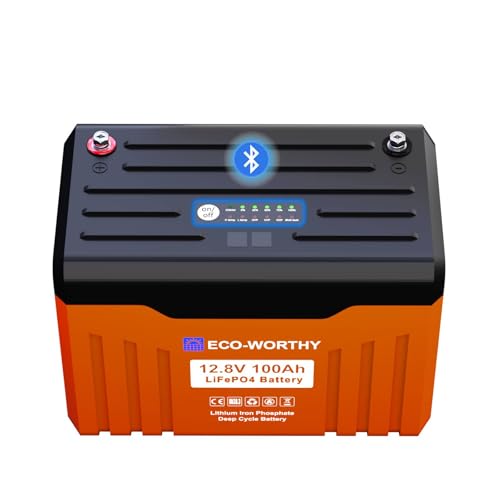 ECO-WORTHY 12V 100AH LiFePO4 Lithium Battery with Battery Status Display 100A BMS with Low-Temp Protection and Bluetooth for Motorhomes Camping Trolling Motor Campervan Boat