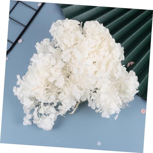 Alipis 1pack pétalos secos de hortensia blanca para manualidades miniatura 7
