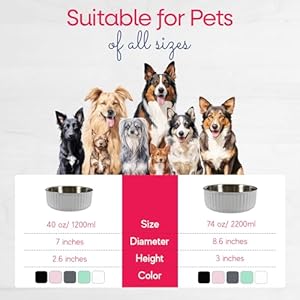 Stainless Steel Pet Bowl  Dog Food Bowl with Antiskid Bottom  Metal Cat Bowls  Water Bowl for Small Medium and Large Pets  Rustproof and Dishwashersafe white 74 Oz2200ml  Cucciolini Doodles Stainless steel pet bowl  dog food bowl with anti skid bottom  metal cat bowls  water bowl for small medium and large pets  rust proof and dishwasher safe white 74 oz2200ml   cucciolini doodles