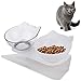VieVogue Cuenco del Gato, Plataforma Inclinada de 15 ° Comederos para Gatos Doble tazón con Soporte, Elevado Comedero Mascotas, Antideslizante Boles Y Perros Pequeños (White+Clear Bowls)