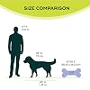 FitPAWS K9FITbone - Regular, Blue | Dog Balance Training Platform & Exercise Equipment | Workout Tool for Strength, Core & Stability