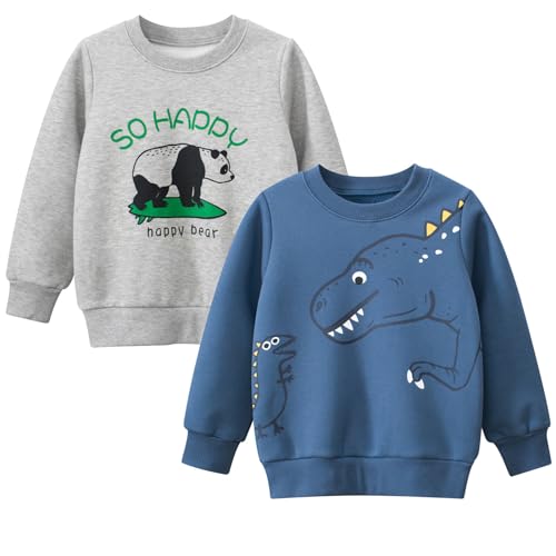 Toddler Boys Fleece Sweatshirts Dinosaur Crewneck Pullover Sweater Winter Clothes