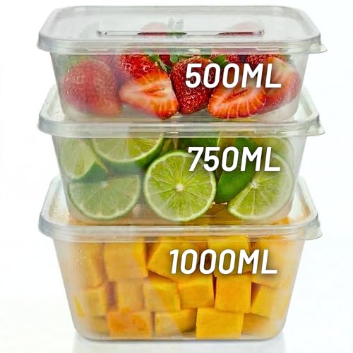 Plastic Food Containers with Lids - 500ml 10 Pack Easy Open Corner Tab Leak Proof Takeaway Food Storage Meal Prep Container Reusable Tupperware Set Microwave Freezer Dishwasher Safe Boxes