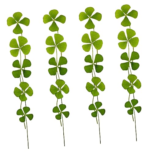 Plantas de trébol de cuatro hojas secas naturales Luxshiny 24pcs