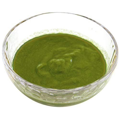 ほうれん草 うらごし100g 16198