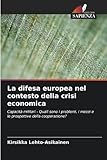  La difesa europea nel contesto della crisi economica: Capacità militari - Quali sono i problemi, i mezzi e le prospettive della cooperazione?