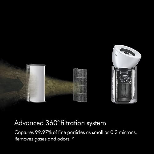 Dyson Large HEPA Air Purifier for Formaldehyde Control