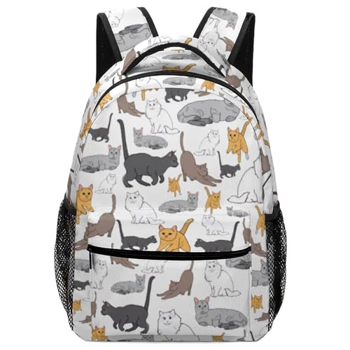 [A^A] bN bNTbN L̎p obNpbN V_[obO  wN q j̎q ̎q ʋ ʊw