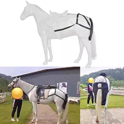 Horse Poop Bag Waterproof, Easy to Put on, Black Equine Manure Bag for Pony/Horse/Cob, City Street Horse Manure Catcher Bag(S)