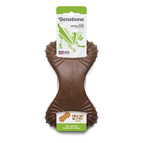 Brinquedo De Mastigar Benebone Dental Chew Amendoim Médio