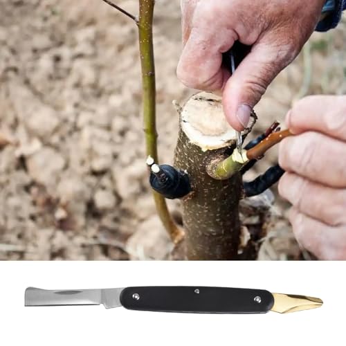 Cuchillo de injertos para jardinería y poda multifuncional miniatura 6
