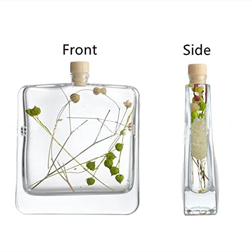 Botella de vidrio transparente 100ml para difusor aceites miniatura 5