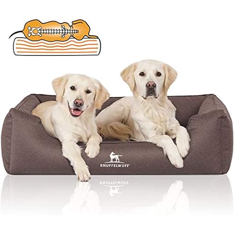 Knuffelwuff Orthopädisches Wasserabweisendes Hundebett Leon aus Velours Cover