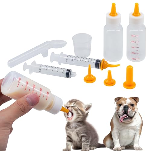 Feeding Set with Syringes & Spoon