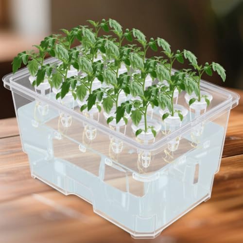 Bac de plantation à base d'eau intérieur transparent 15 trous pour petite surface