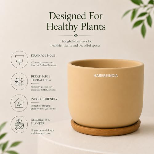 Image of Habere India-All the Cultures Fabricating India Plant Pot with Wooden Plate | Flower Pots for Dining Table & Home Decor | Terracotta Pot for Living Room Decoration (Beige, Dia11 x H10 cm)