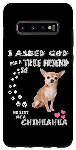 chihuahua gifts dog lovers
