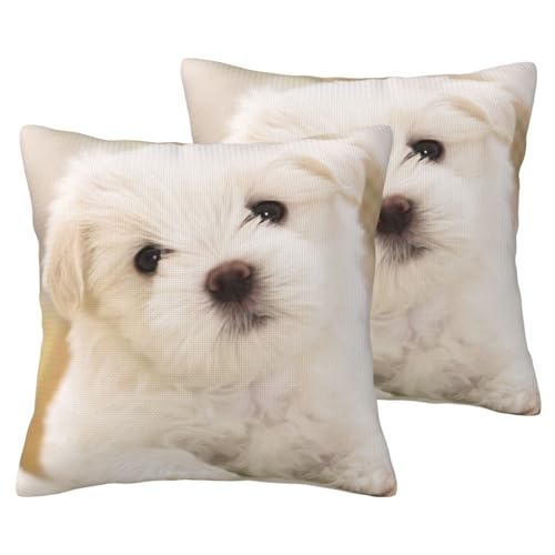 Housse de coussin imprimé chiot maltais aspect lin canapé - 2