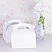 Super Z Outlet Blank White Color Treat Gift Paper Cardboard Boxes with Handles, Arts & Crafts Candy Goodie Bags, Picnic, Birthday Party Favors, Baby Shower, Weddings (12 Pack, 6.25