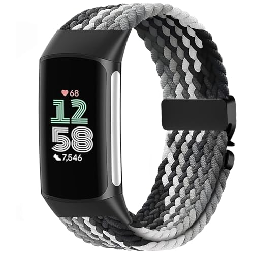 Issinlky iCґgoh Fitbit Charge 6/5Ή Soh Fitbit Charge 5/6 fB[X Y