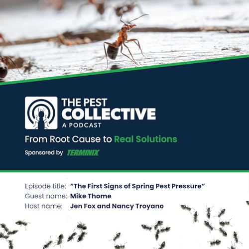 The First Signs of Spring Pest Pressure