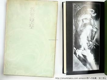 歌集 ひたすら （長風叢書）（単行本） Amazon.co.jp: 歌集 天唇/村木道彦/茱萸叢書 : おもちゃ