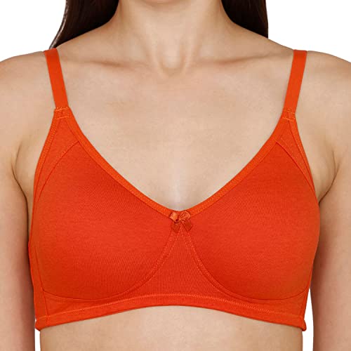 Image of Zivame Women's Cotton Non Padded Wire Free 3 /4Th Coverage Seamless T-Shirt Bra