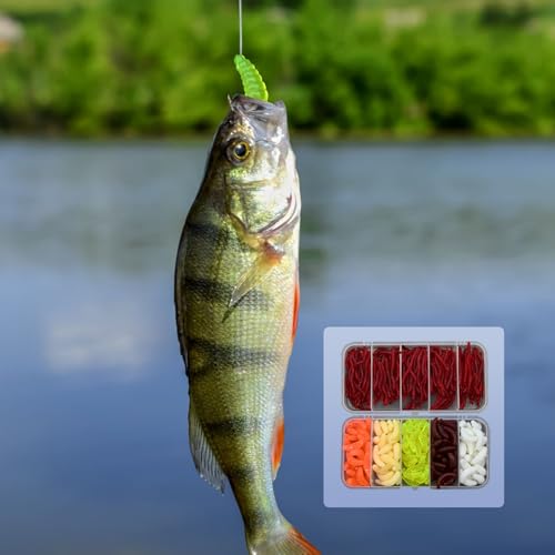 350 STK. Künstl. Köderwürmer, Angelset mit weichen Kunststoffwürmern, Regenwürmern & Mehlwürmern, ideales Gummi-Set für Forellenangeln, in Box - 150 Mehlwürmer + 200 kleine Regenwürmer