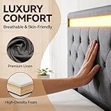 BRILVERDE B0F8VJFGRW lato 4