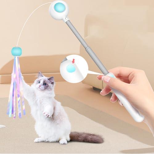 Jouets pour chat avec canne télescopique interactive pour appartement