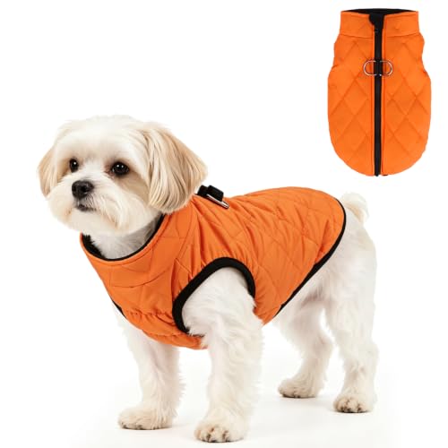 Image of SCENEREAL Halloween Thanksgiving Dog Coat with Built-in Harness