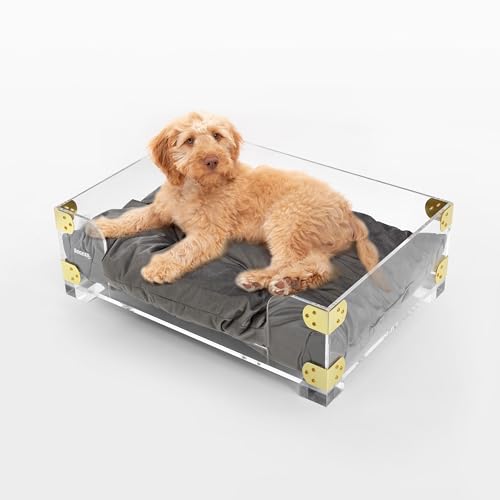 THE LICKER STORE DBD2002A Haines 54.6 cm x 38.7 cm S/M ���_�� ���[�T�C�g�x���x�b�g�y�b�g�x�b�h �􂦂�N�b�V�����t�� �_�[�N�O���[/�N���A