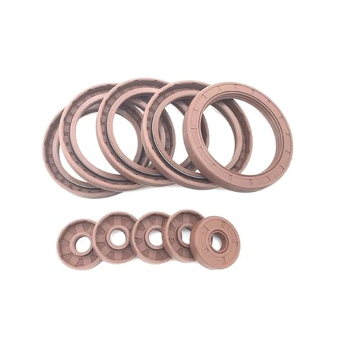 Bague d'étanchéité FKM double lèvre pour stopper les fuites de lubrifiant