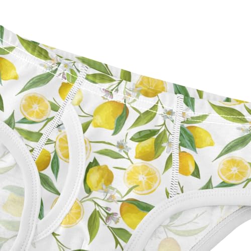 Boys' Exclusive Briefs Toddler Underwear 95% Combed Cotton Boxerbriefs 2T Lemon and Leaf Pattern 54