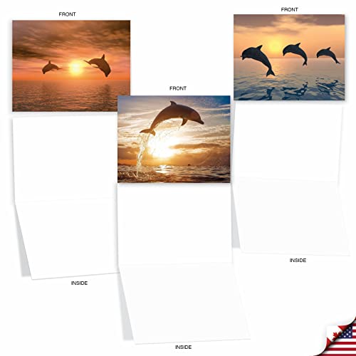 The Best Card Company - 10 Blank Animal Cards Boxed (4 X 5.12 Inch) - Assorted Pets, Zoo, Wildlife Cards For Kids - Sunset Dolphins M6460Ocb #TOP4