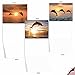 The Best Card Company - 10 Blank Animal Cards Boxed (4 x 5.12 Inch) - Assorted Pets, Zoo, Wildlife Cards for Men and Women - Sunset Dolphins M6460OCB-NB