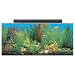 SeaClear 30 gal Show Acrylic Aquarium Combo Set, 36 by 12 by 16", Clear