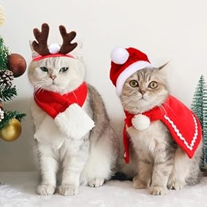 Disfraz Navidad para Perros Gatos, 4 Piezas Accesorios Ropa Navideño de Mascota Astas de Reno Diadema Sombrero de Santa Bufanda Manto, Regalo Collar Roja Disfraces Navideña para Perro Gato Pequeños