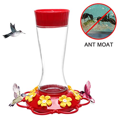 Don Hamilton Hummingbird Feeder,Glass Hummingbird Feeders with Ant Moat for Outdoors,20 Ounce (Large)