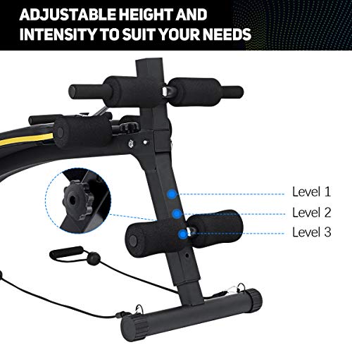 Doufit Adjustable Sit Up Bench for Workout, WB-03 Abs Multi-Function Training Bench for Home Gym, Abdominal Workout Bench with 3 Adjustable Height Settings