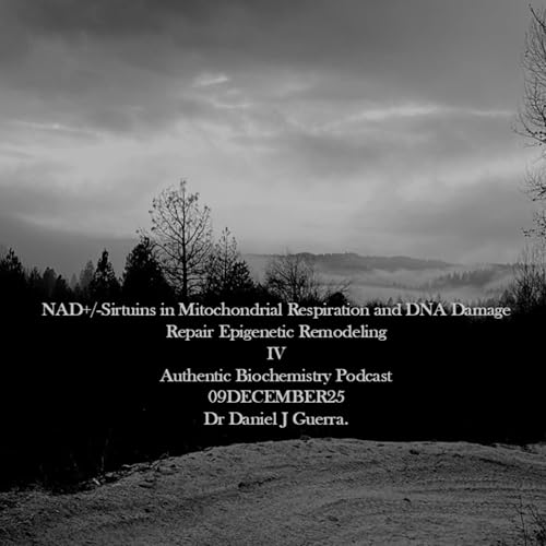 NAD+/-Sirtuins in Mitochondrial Respiration and DNA Damage Repair Epigenetic Remodeling IV Authentic Biochemistry Podcast 09DECEMBER25 Dr Daniel J Guerra.