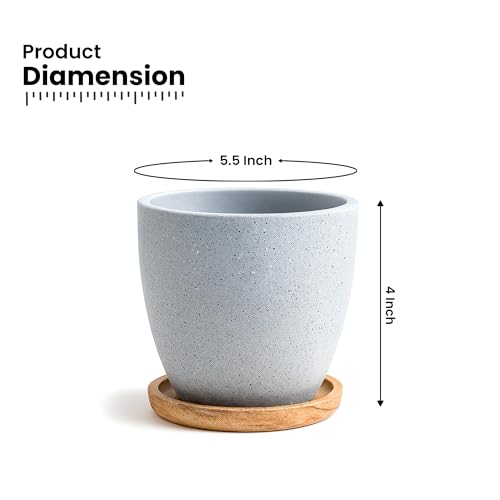 Image of Urban Plant Terracotta Pot with Wooden Saucer - Trendy Planter for Modern Home & Garden Spaces (Terrazzo Terracotta Pot - Gray)