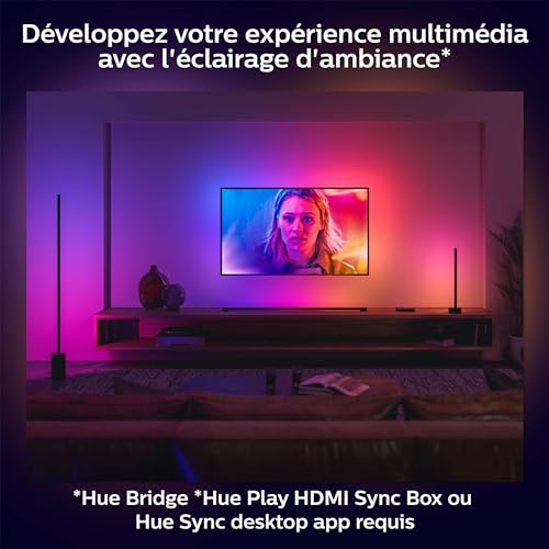 Philips Hue White and Color Ambiance, Lampadaire Gradient Signe Noir, Lampe sur pied avec Bluetooth, Luminaire compatible avec Alexa, Google Assistant et Apple Homekit