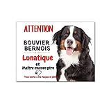 Le produit est susceptible de légères variations de couleurs - La taille du produit peut varier de quelques millimètre (Produit artisanal /fait main).