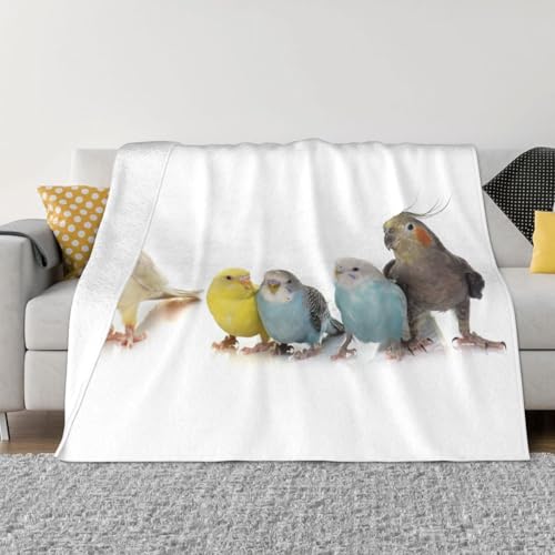 ѕz CR IE  (1) 킢  uPbg  ӂӂ GARuPbg Ђ|  _炩G tl 􂦂 Ódh~ lGKp lC v[g 125cmx150cm