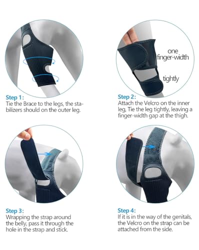 Image of Dog Knee Brace, Dog Leg Brace with 10 Stabilizers, Adjustable Dog Knee Brace for Torn Acl Hind Leg, Joint Pain, Kneecap Dislocation, Cruciate Ligament Injury and Muscle Sore, XL