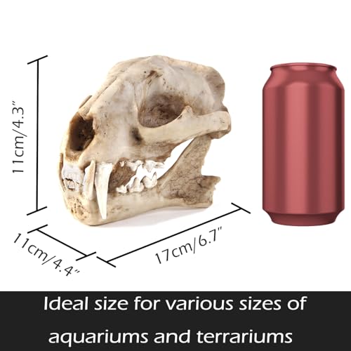 Image of Aquarium Decor Cave Decorations Fish Hideout Betta Tarantula Reptile Snake for Terrarium Ornament Dinosaur Animal Skull Large Bones Halloween