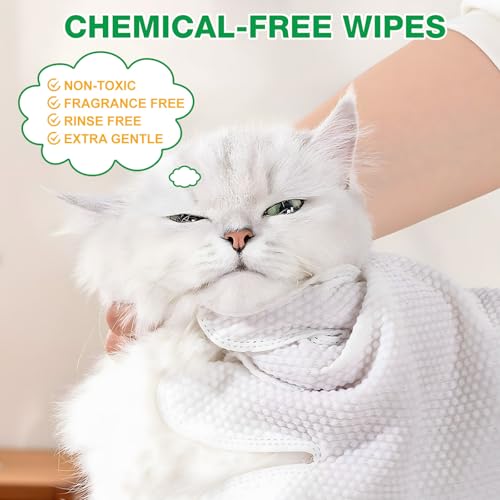 Image of Pet Glove Wipes UNSCENTED for Dogs and Cats No-Rinse, Deodorizing, Grooming Gloves for Paws, Face, Butt, and Legs, Portable Travel-Friendly, Family Stockpile, 10 PCS Hypoallergenic Wipes
