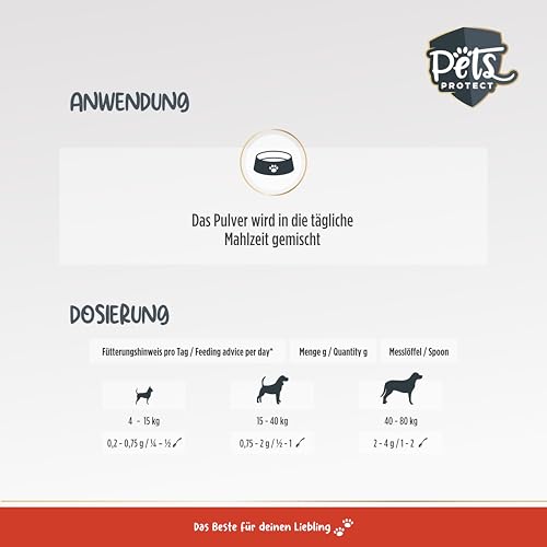 Pets Protect Kreatin Monohydrat Pulver Hunde - Futterergänzung Sporthunde & Wettkampfhunde mit Magnesium - Nährstoffmangel Hund ausgleichen - Futtermittel Sporthunde Nahrungsergänzung - geprüft