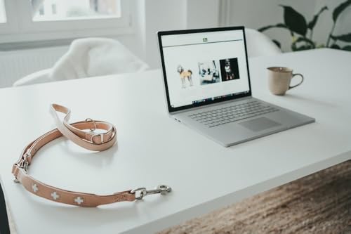 HUNTER Verstellbare Hundeführleine SWISS, Farbe: natur/beige, weiches Rindsleder, schweizer Kreuz, elegante Optik, 3-fache Verstellmöglichkeit, komfortabel, Made in Germany, Größe: 18/200